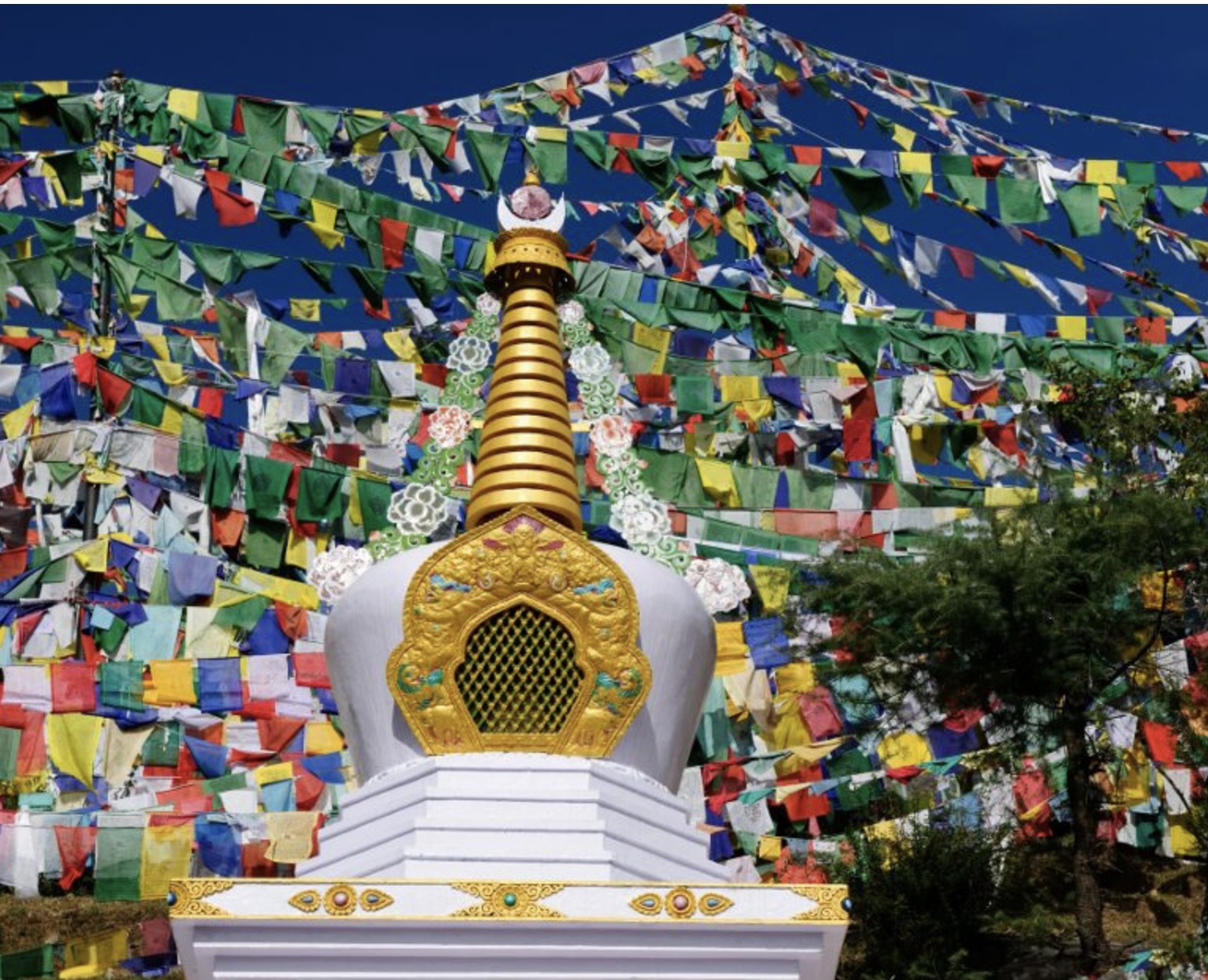 Members of the Emaho sangha in shared practice